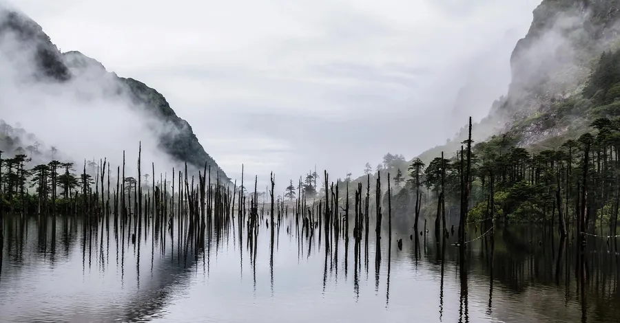 Sangetsar (Madhuri) Lake, its drowned tree trunks still standing in the still water