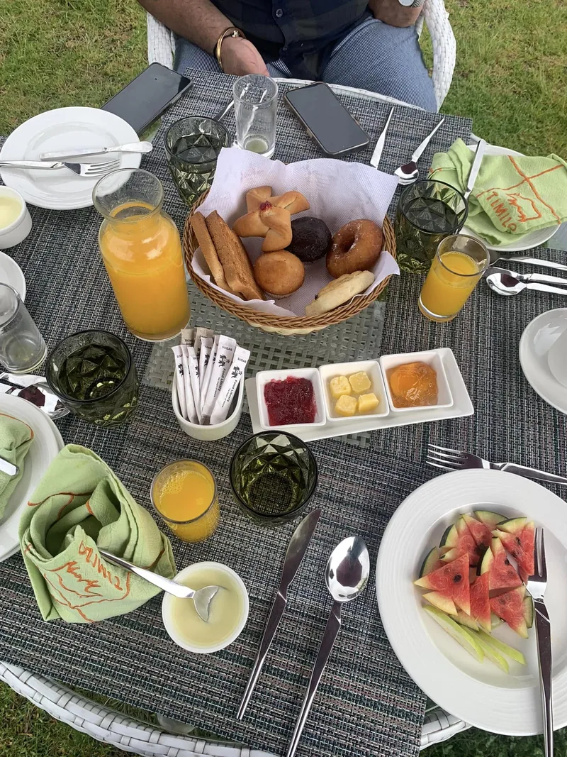 Breakfast laid outdoors on the lawn, with fruit and fresh juice